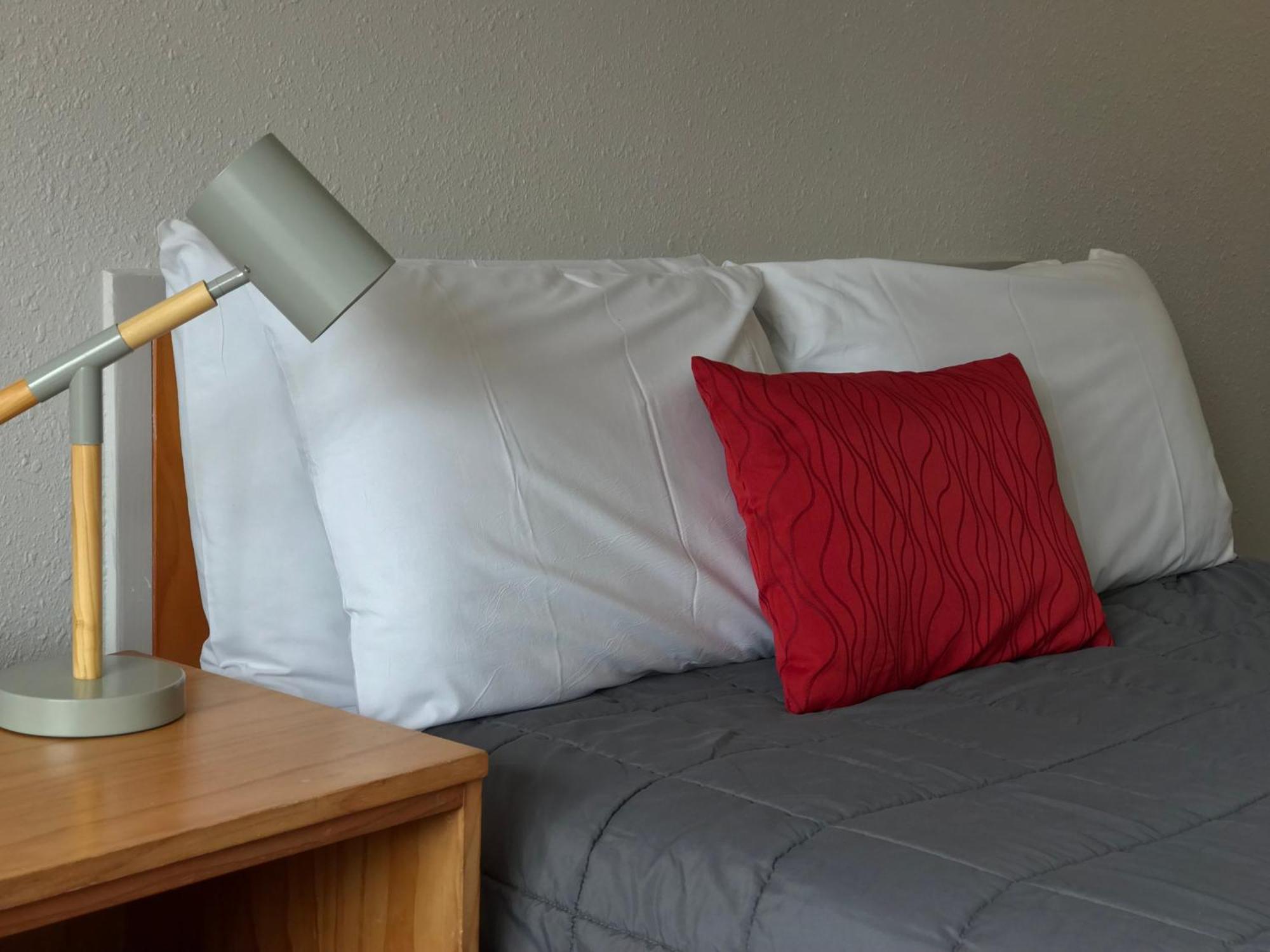 Edelweiss Motel Paihia Værelse billede